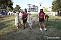 VBS_8136 - Inaugurazione 72.ma Fiera del Peperone di Carmagnola